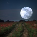 Space and the futility of war