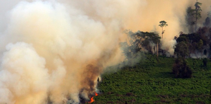 INDONESIA FOREST FIRE